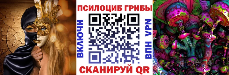 мега маркетплейс  Протвино  Галлюциногенные грибы Psilocybe 